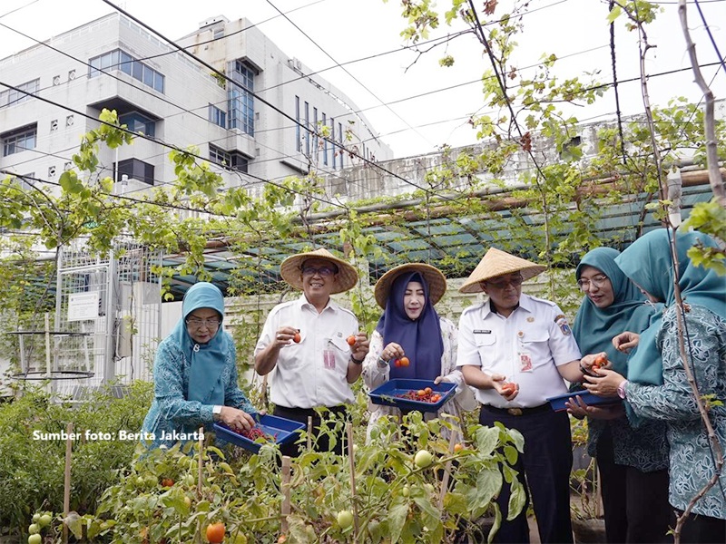 CHARACTERISTICS AND STRATEGIES OF ROOFTOP FARMING IN JAKARTA FOR SUSTAINABLE DEVELOPMENT